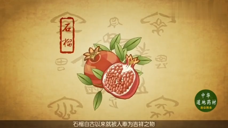 动画中药-中医资源网